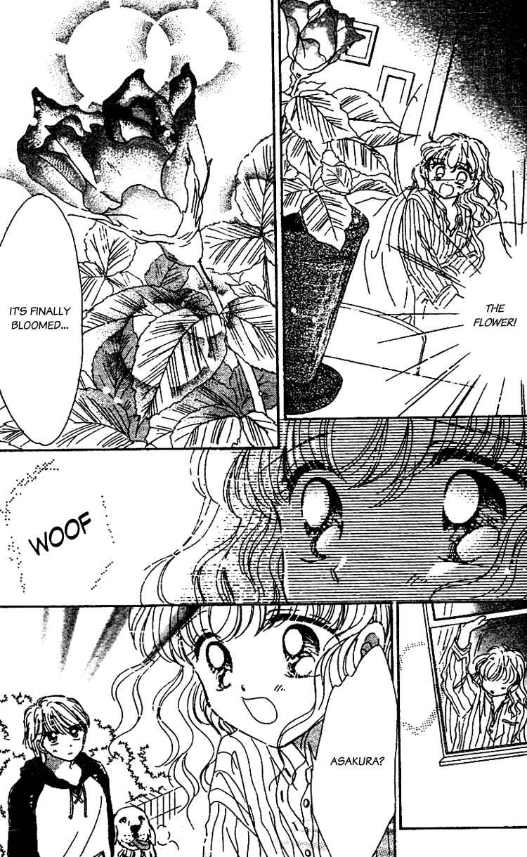 Page 13 Chapter 13 Les Mille Fleurs