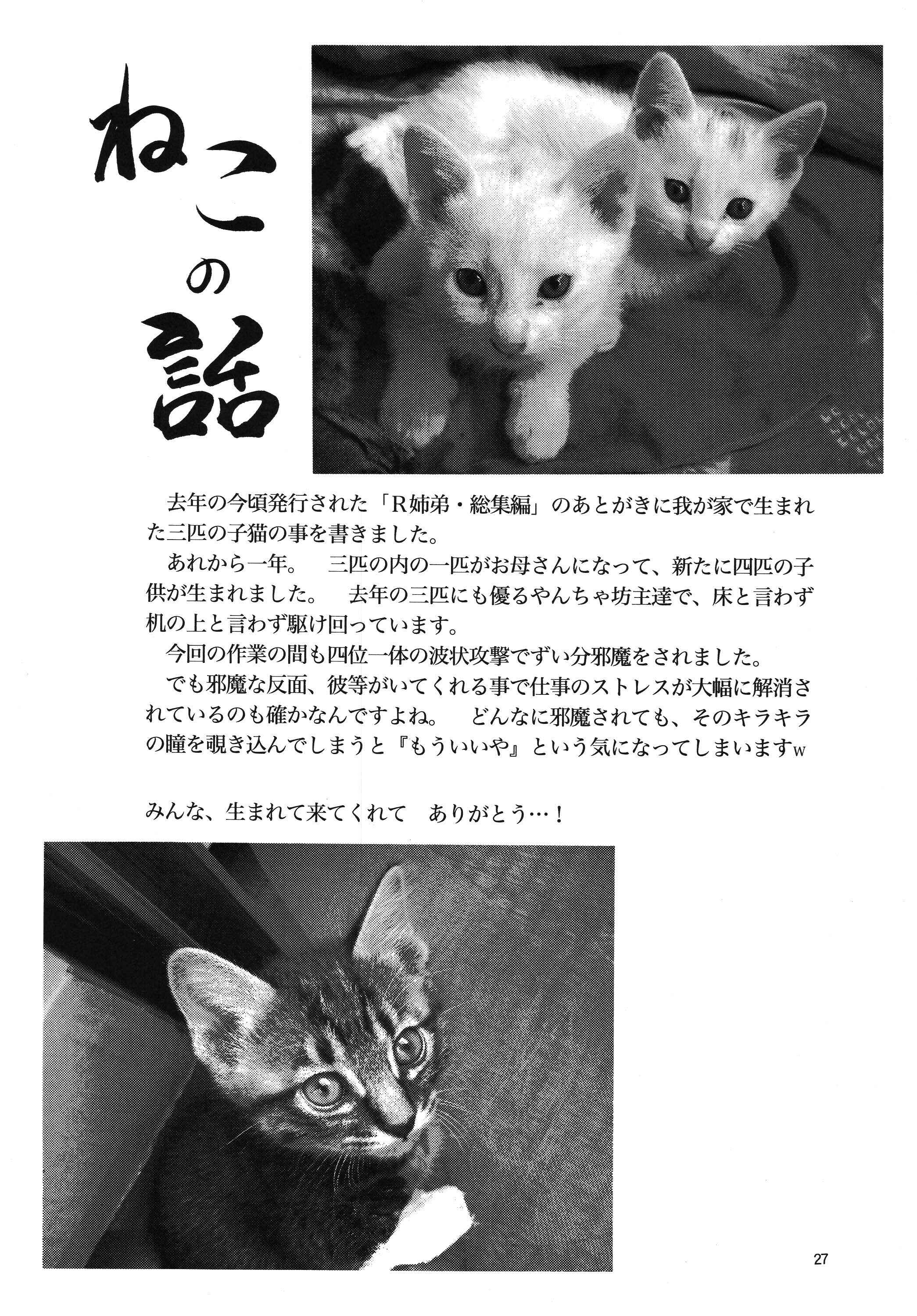 Page 26 Chapter Unknown_2f2a Bridge