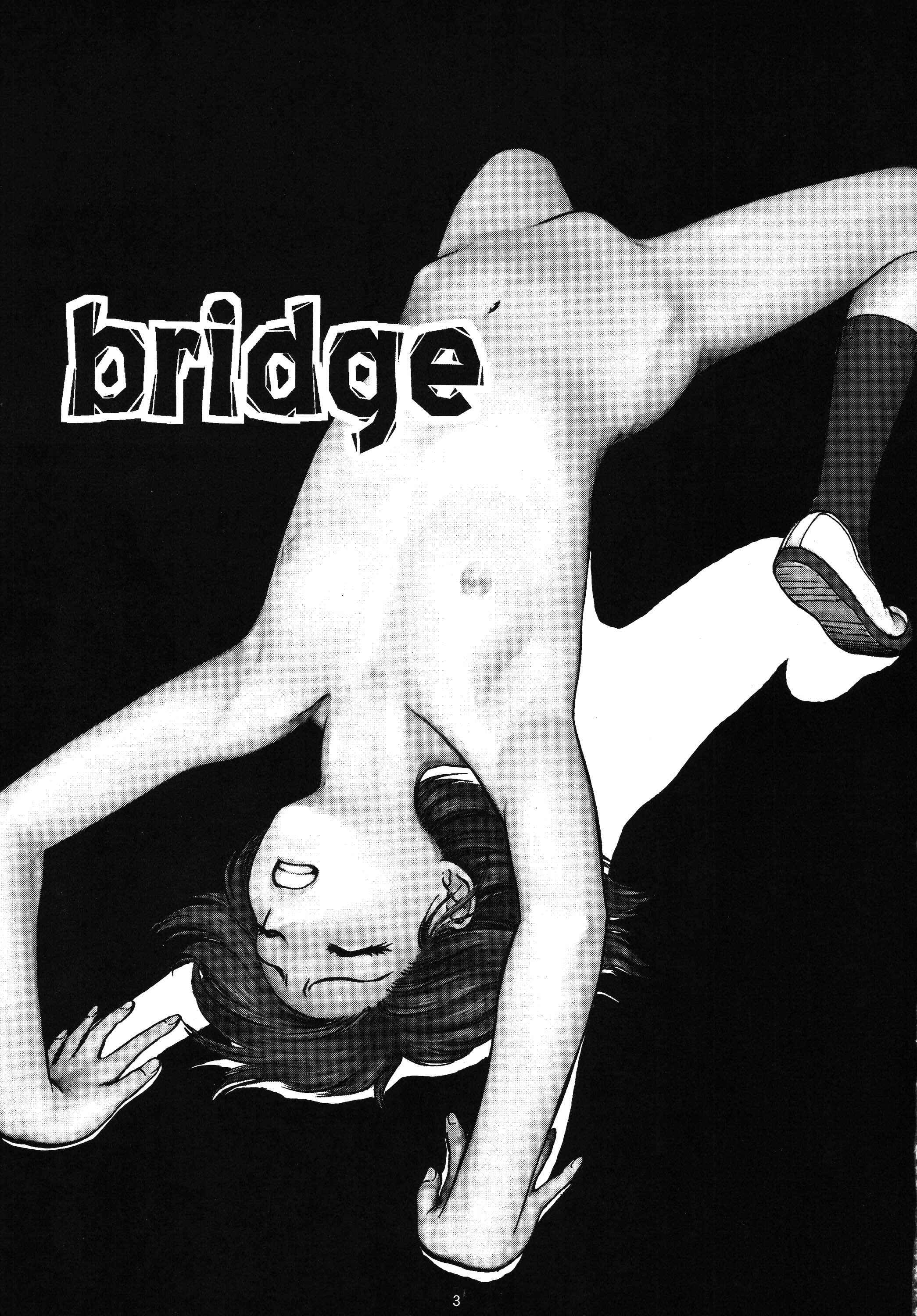 Page 3 Chapter Unknown_2f2a Bridge