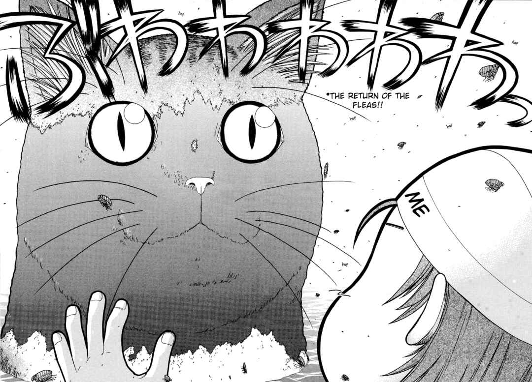 Page 6 Chapter 15 Minori no Hibi