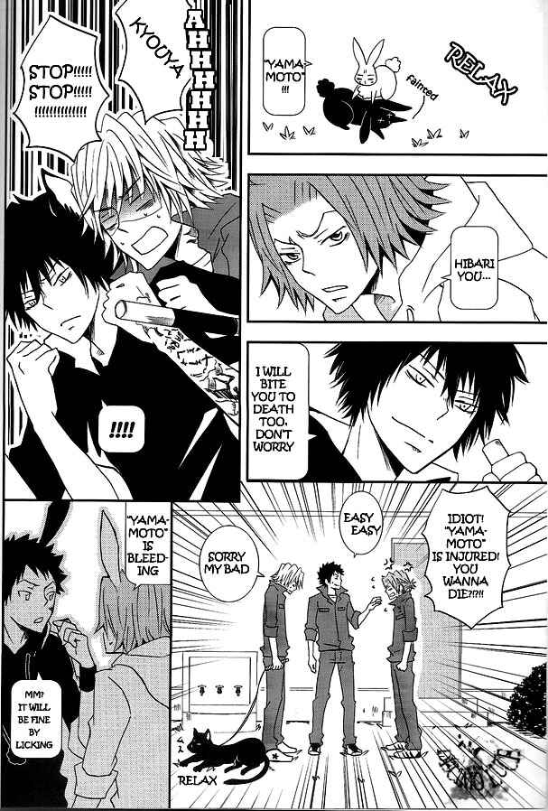 Page 28 Chapter Unknown_7d94 Katekyo Hitman Reborn! - White Bunny to Black Rabbit (Doujinshi)