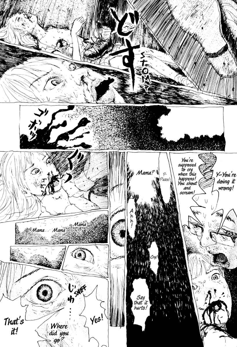 Page 28 Chapter 7 Garden