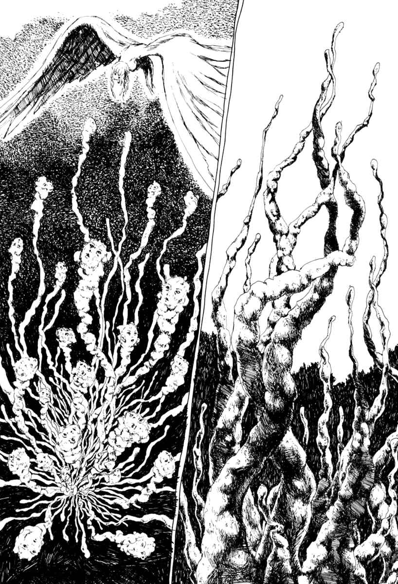 Page 75 Chapter 7 Garden