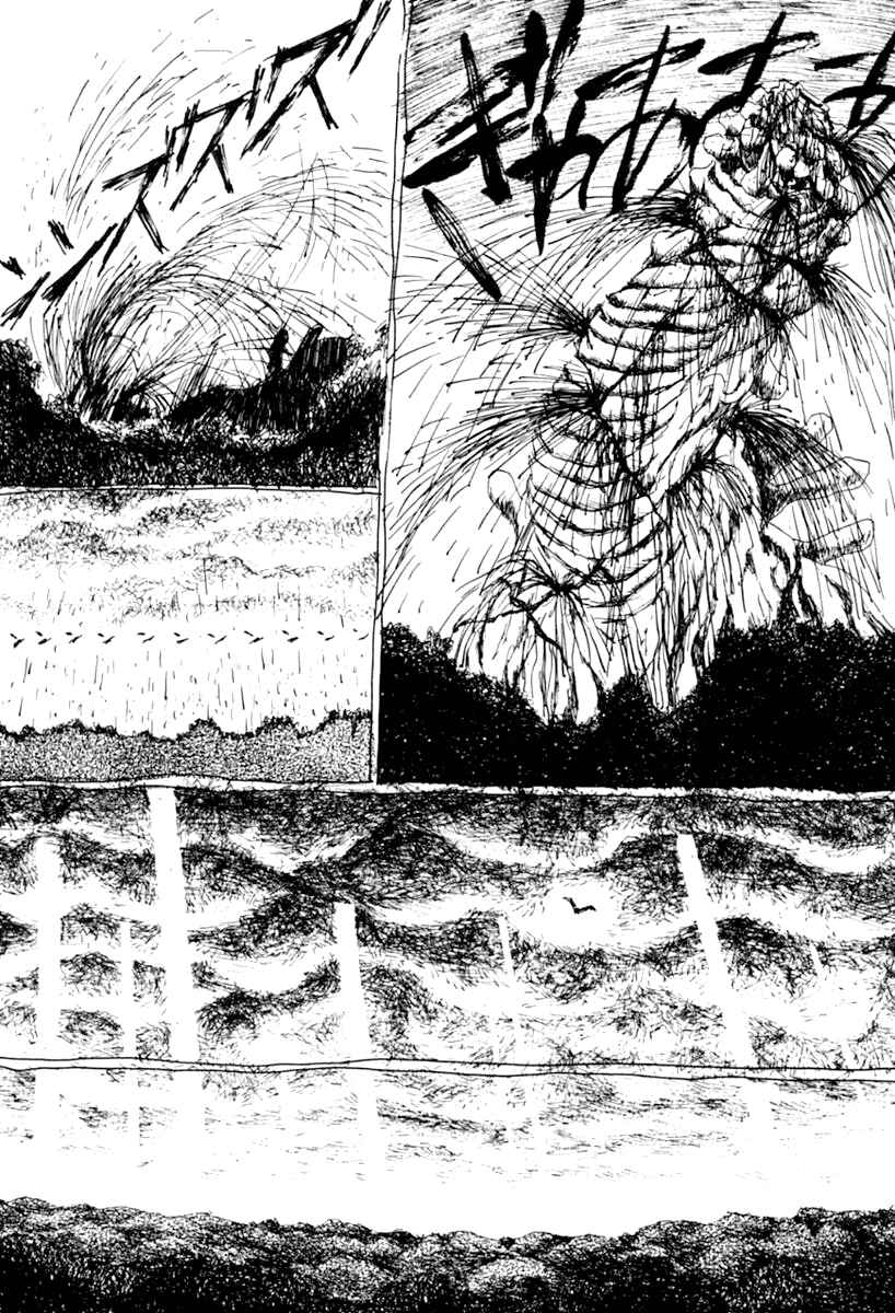 Page 82 Chapter 7 Garden