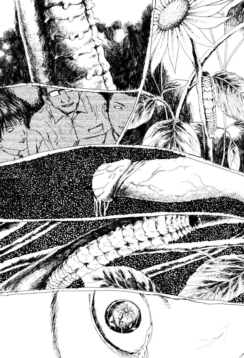 Page 90 Chapter 7 Garden
