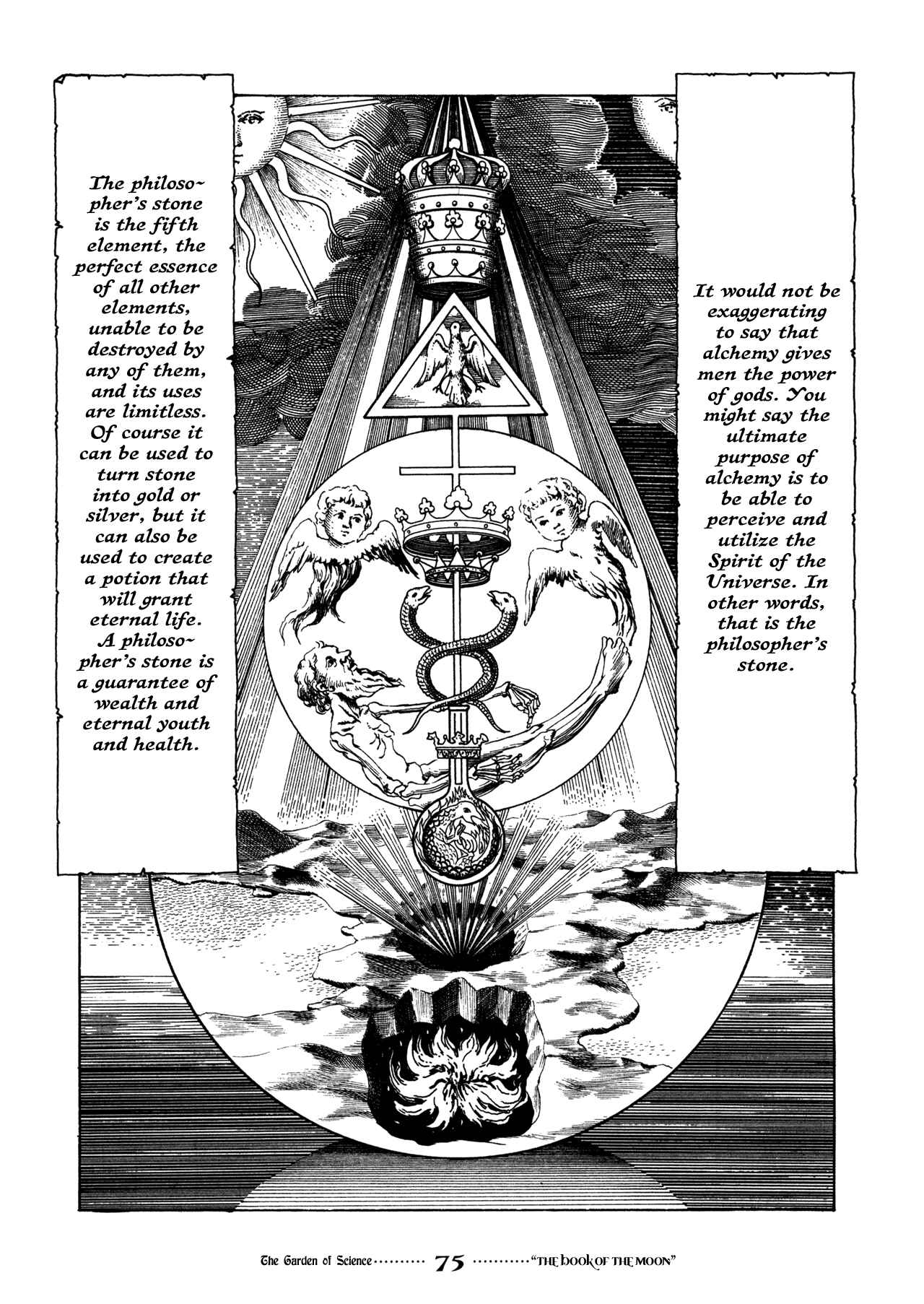 Page 11 Chapter 5 Garden
