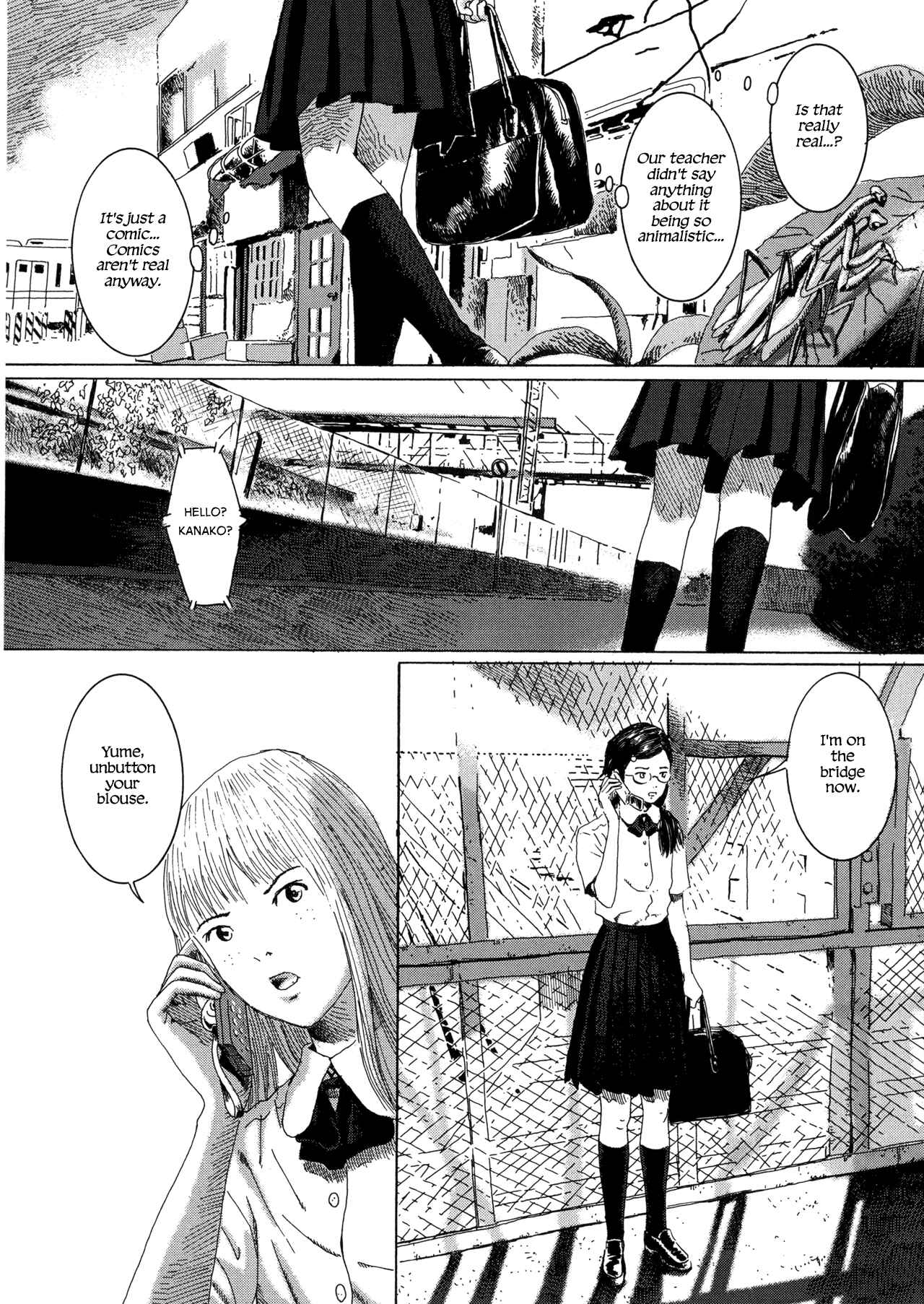 Page 12 Chapter 3 Garden