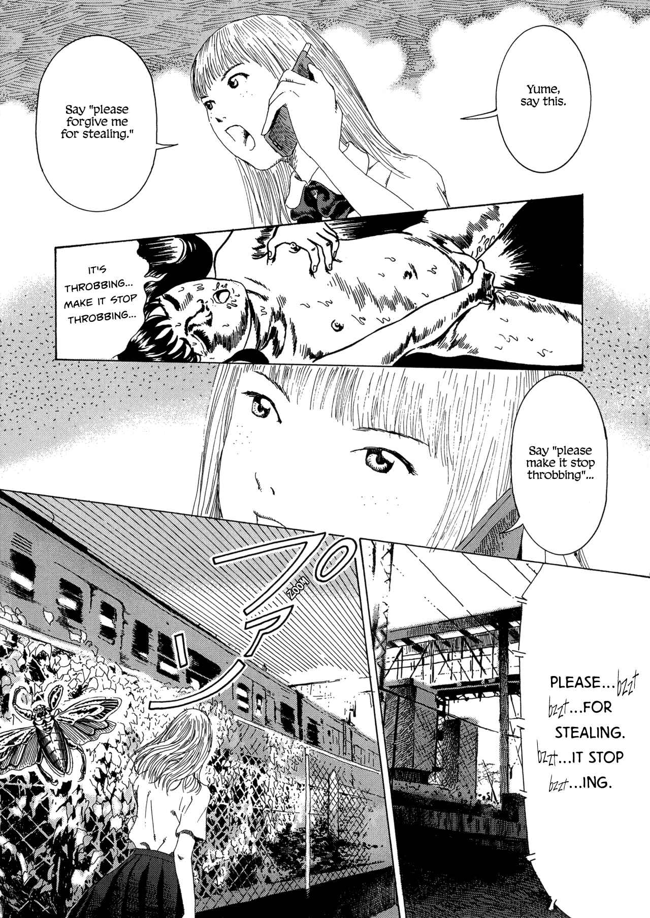 Page 17 Chapter 3 Garden