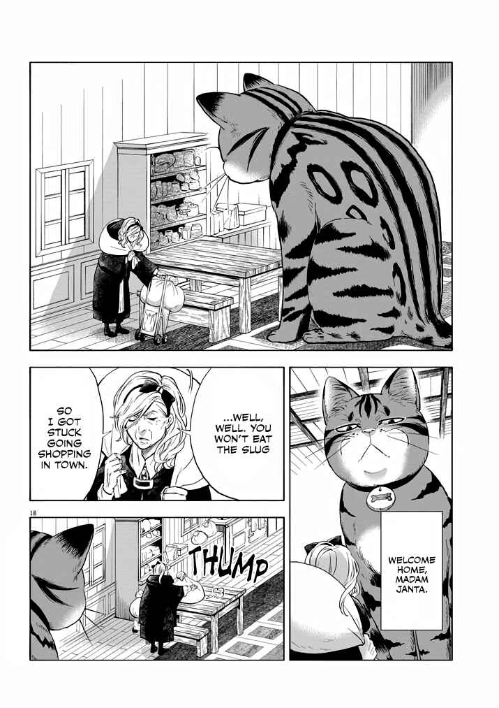Page 17 Chapter 2 Isekai Neko to Fukigen na Majo