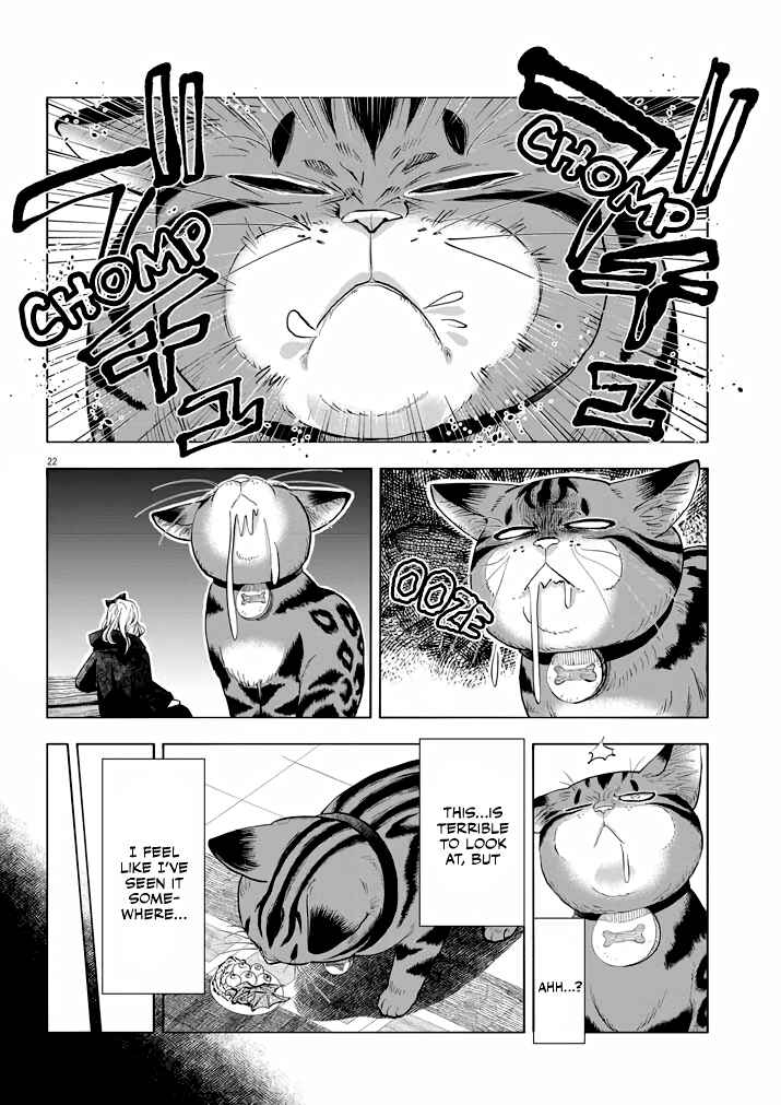 Page 21 Chapter 2 Isekai Neko to Fukigen na Majo