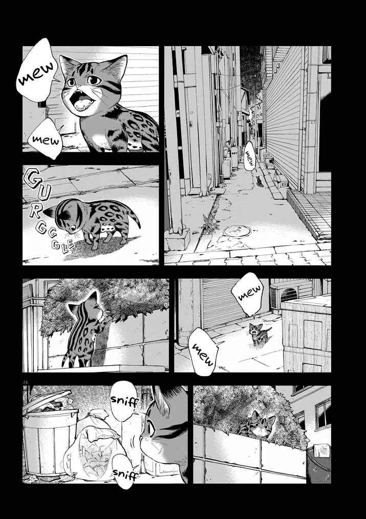 Page 23 Chapter 2 Isekai Neko to Fukigen na Majo