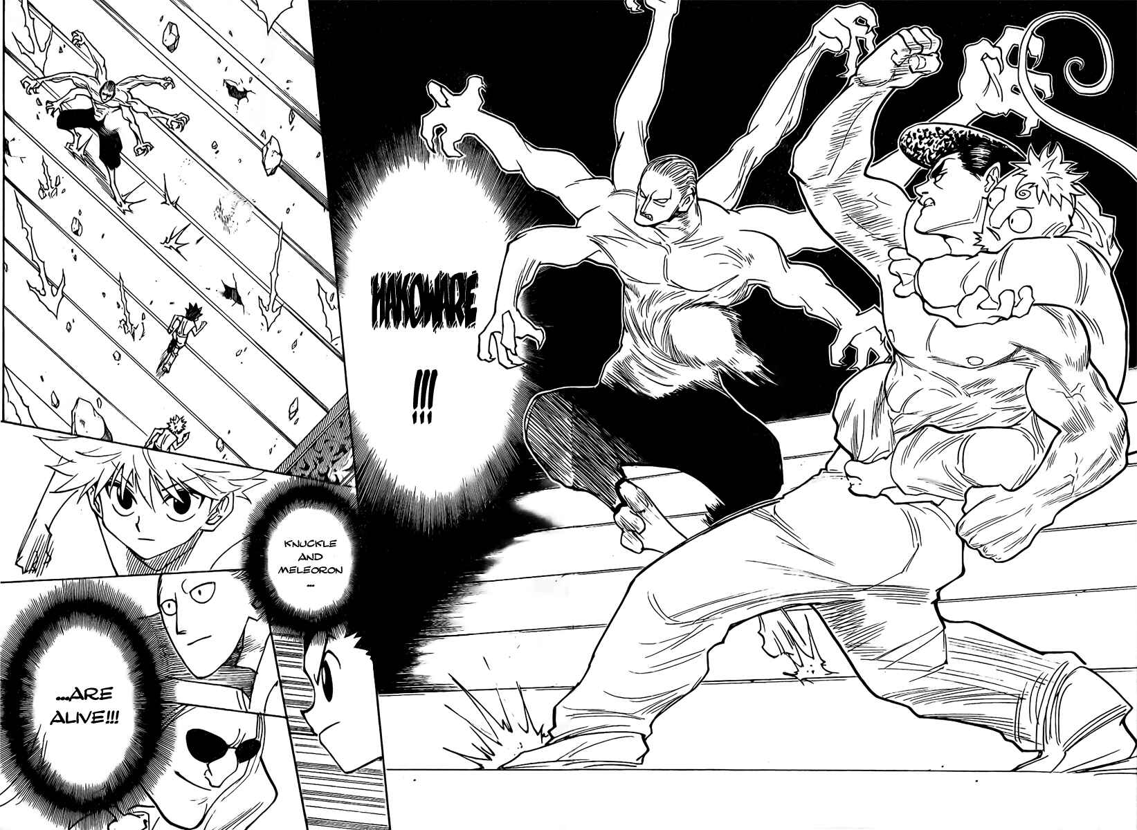 Page 15 Chapter 266 HUNTER x HUNTER