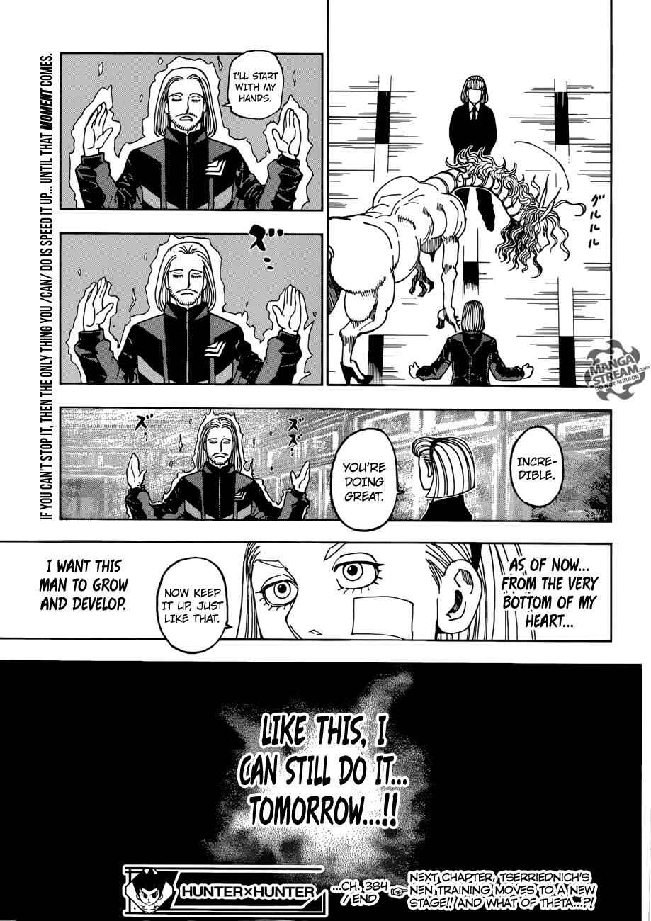 Page 17 Chapter 384 HUNTER x HUNTER
