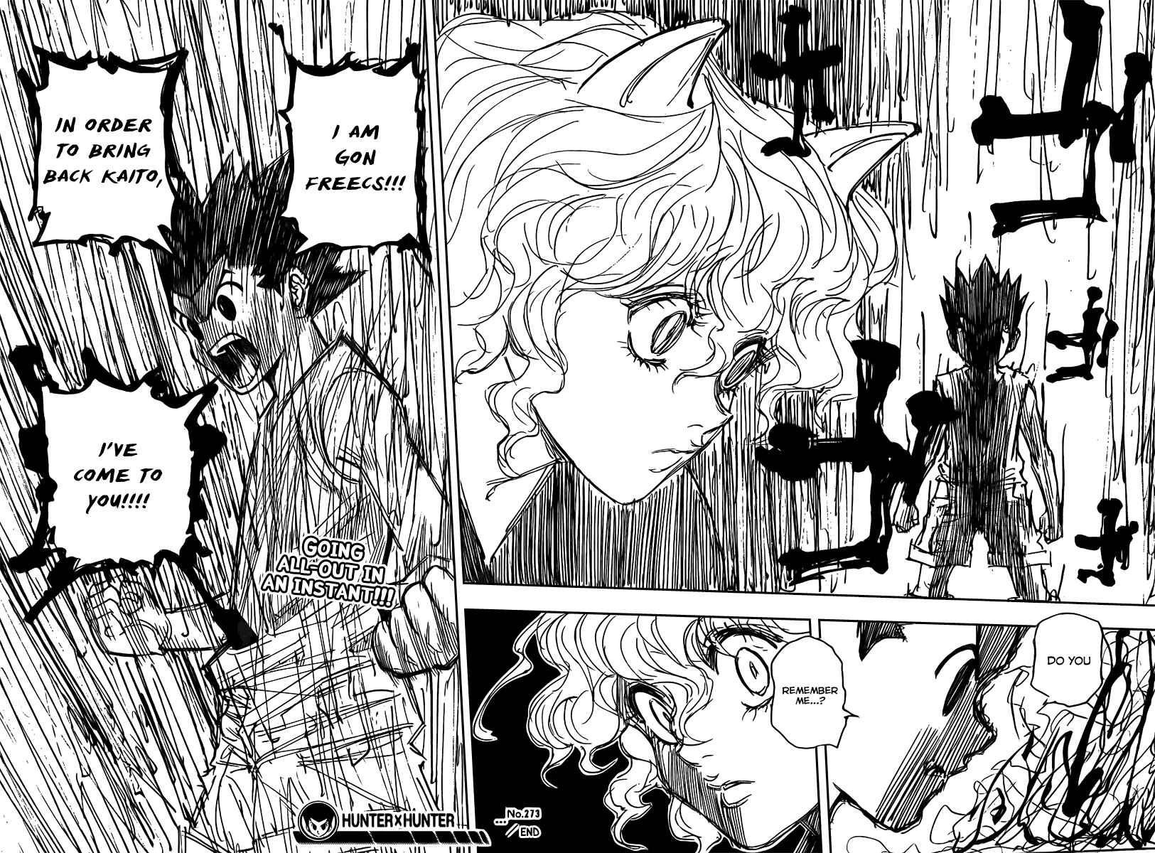 Page 18 Chapter 273 HUNTER x HUNTER