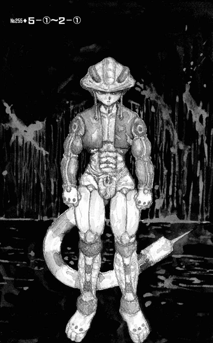 Page 1 Chapter 255 HUNTER x HUNTER