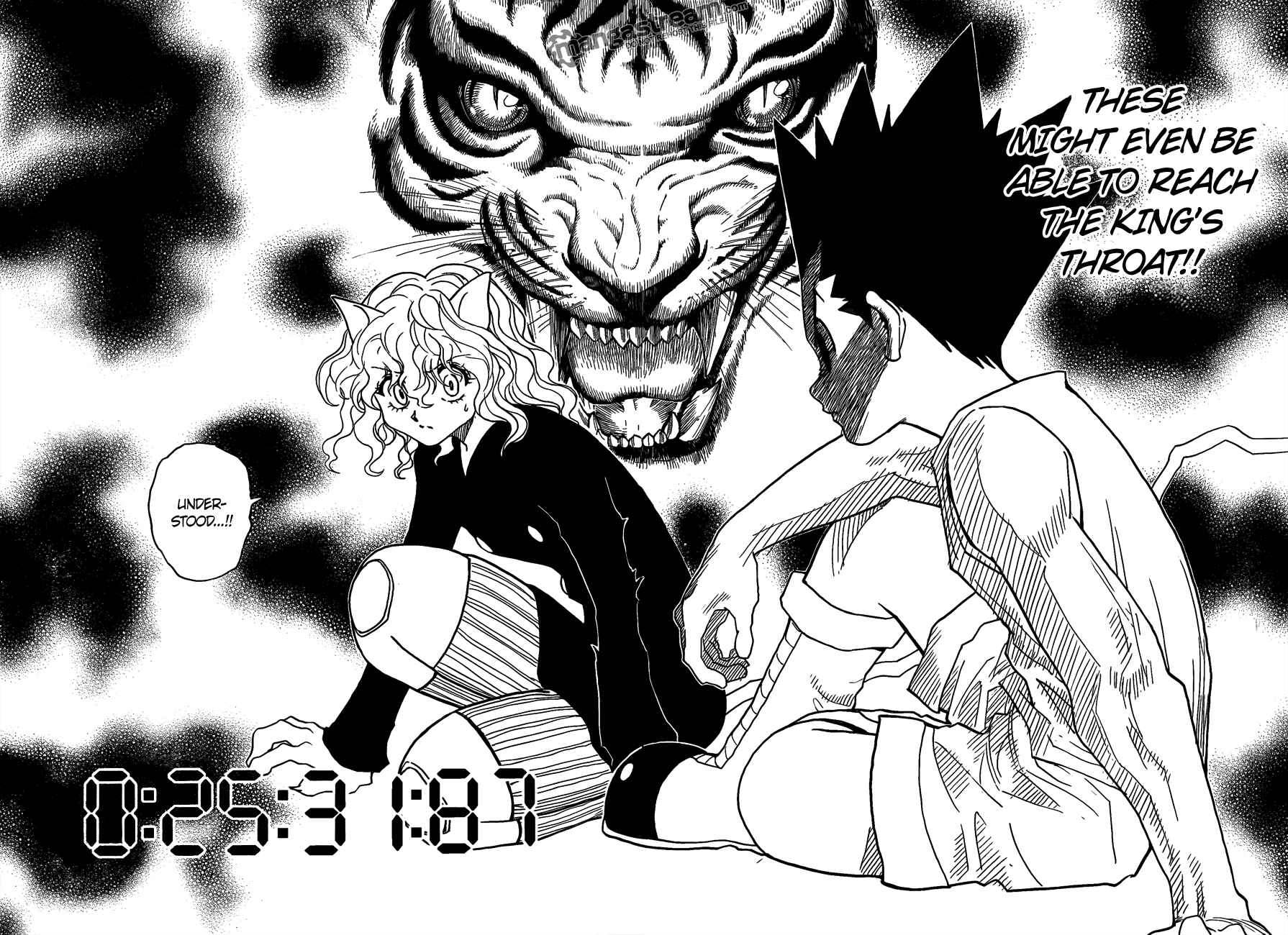 Page 15 Chapter 295 HUNTER x HUNTER