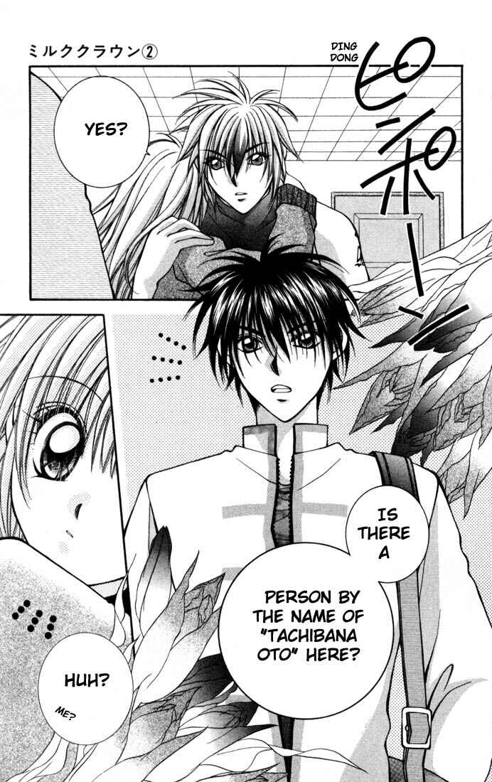 Page 28 Chapter 8 Milk Crown