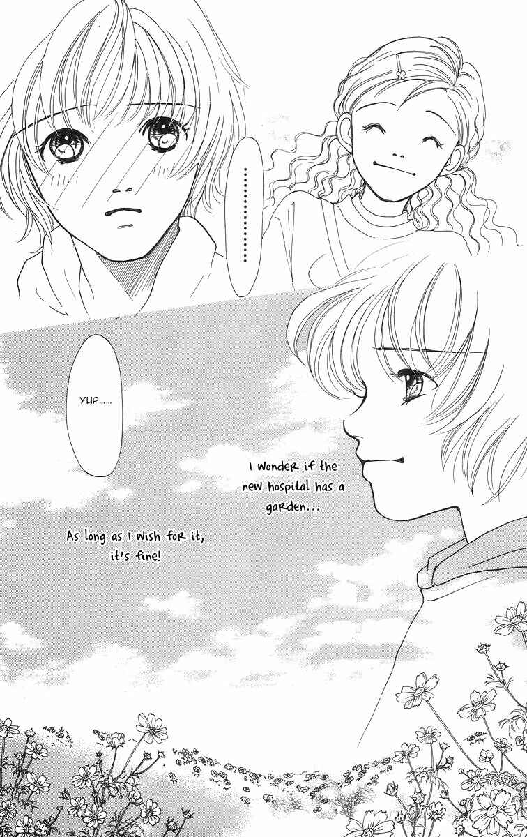 Page 26 Chapter 3 Flower