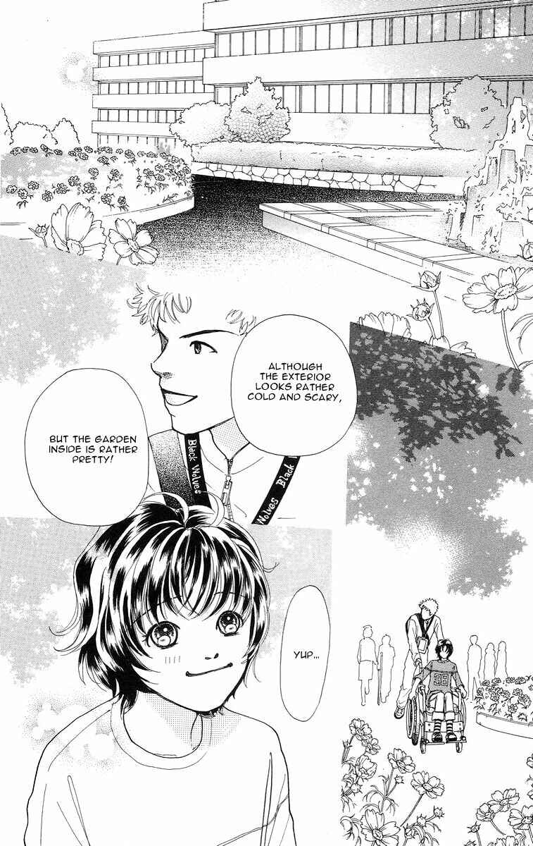 Page 40 Chapter 3 Flower
