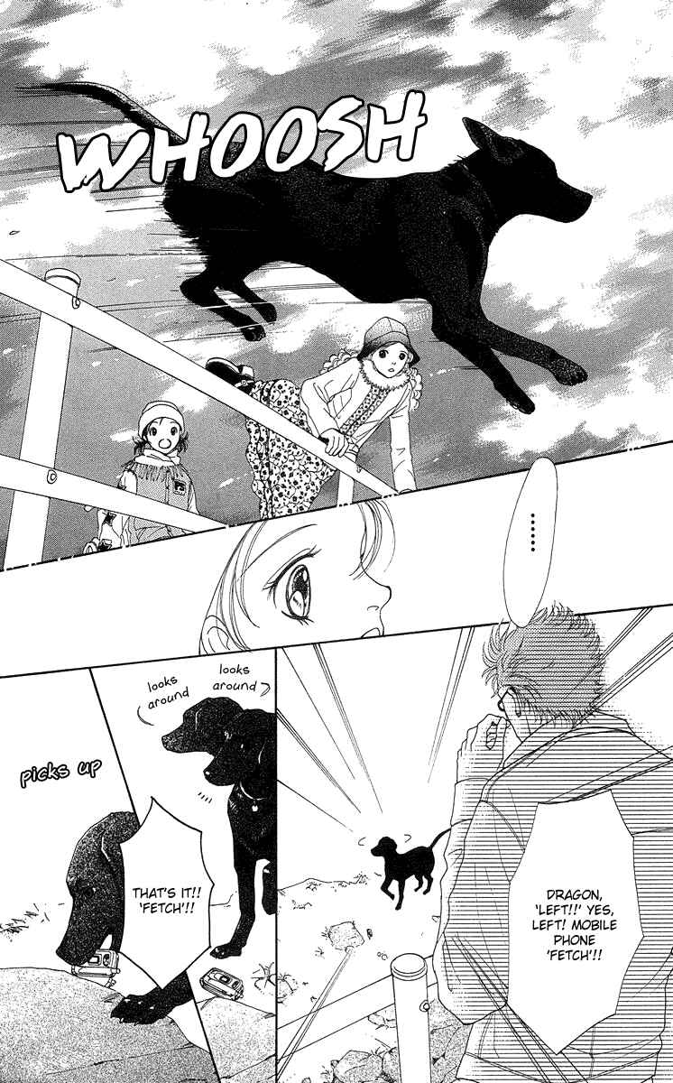 Page 29 Chapter 14 Flower