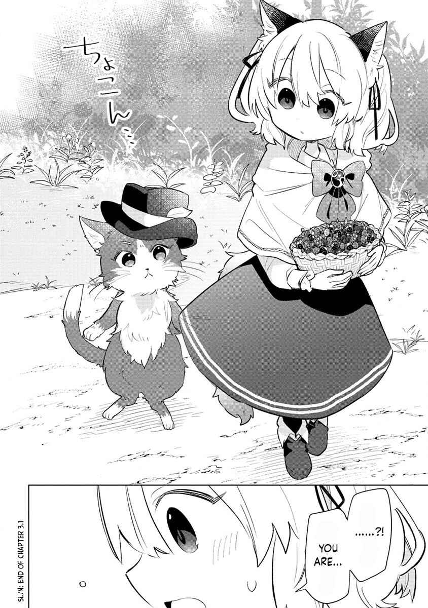 Page 13 Chapter 3 Nekomimi Shoujo wa Mori de Slow Life wo Okuritai ~Mofumofu wa Shomou Shimashita ga, Seijo to ka Ouji-sama to ka wa Chuumongai desu~