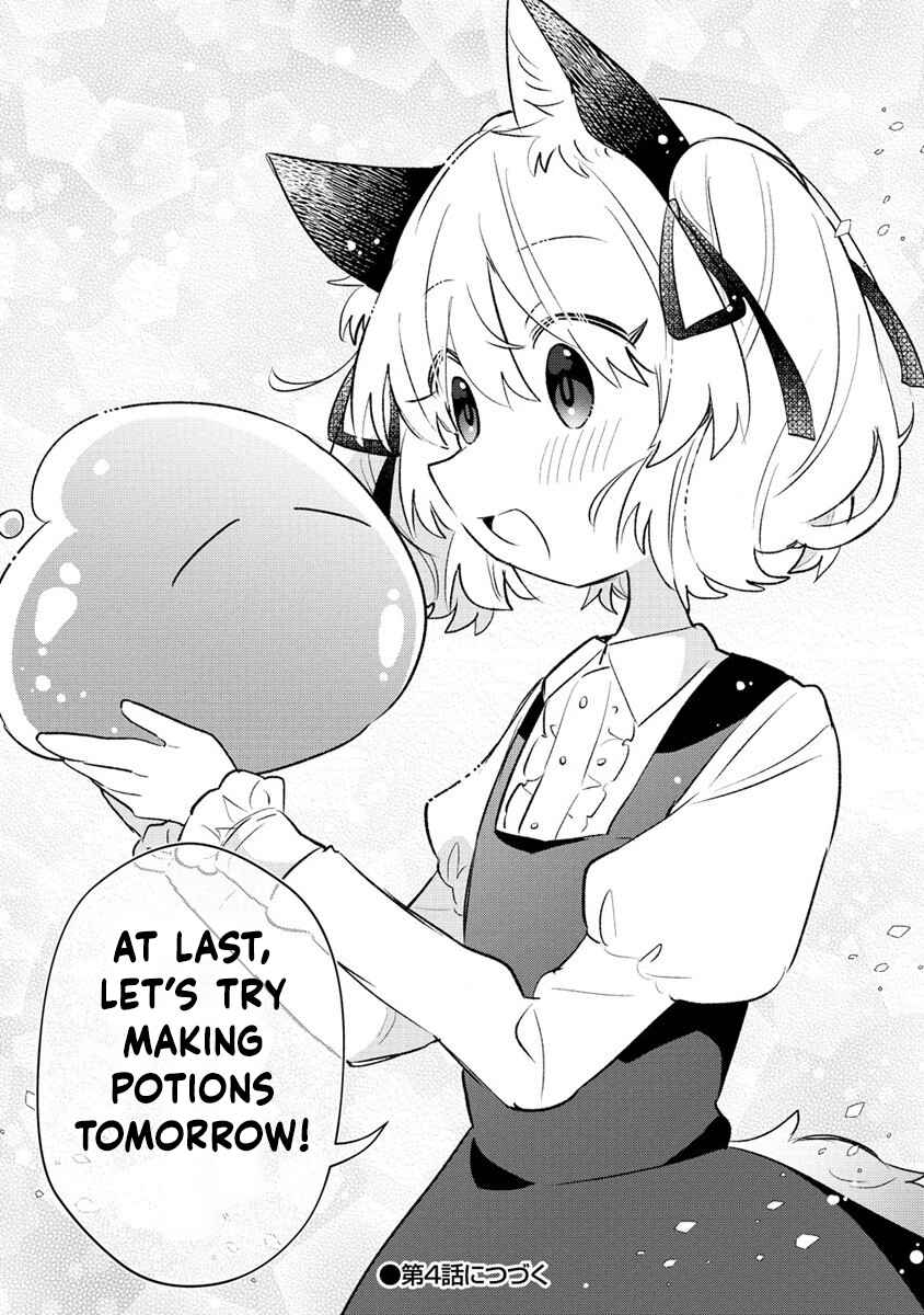 Page 28 Chapter 3 Nekomimi Shoujo wa Mori de Slow Life wo Okuritai ~Mofumofu wa Shomou Shimashita ga, Seijo to ka Ouji-sama to ka wa Chuumongai desu~