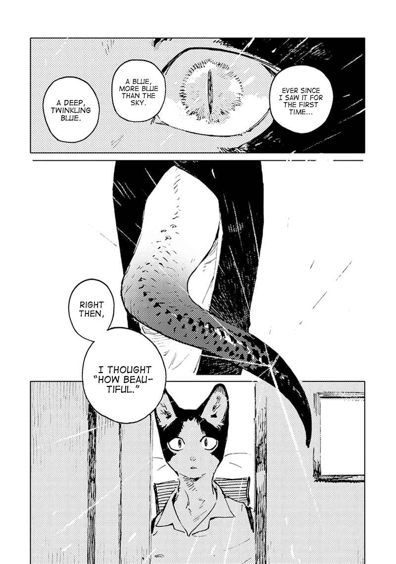 Page 13 Chapter 10 Monotone Blue