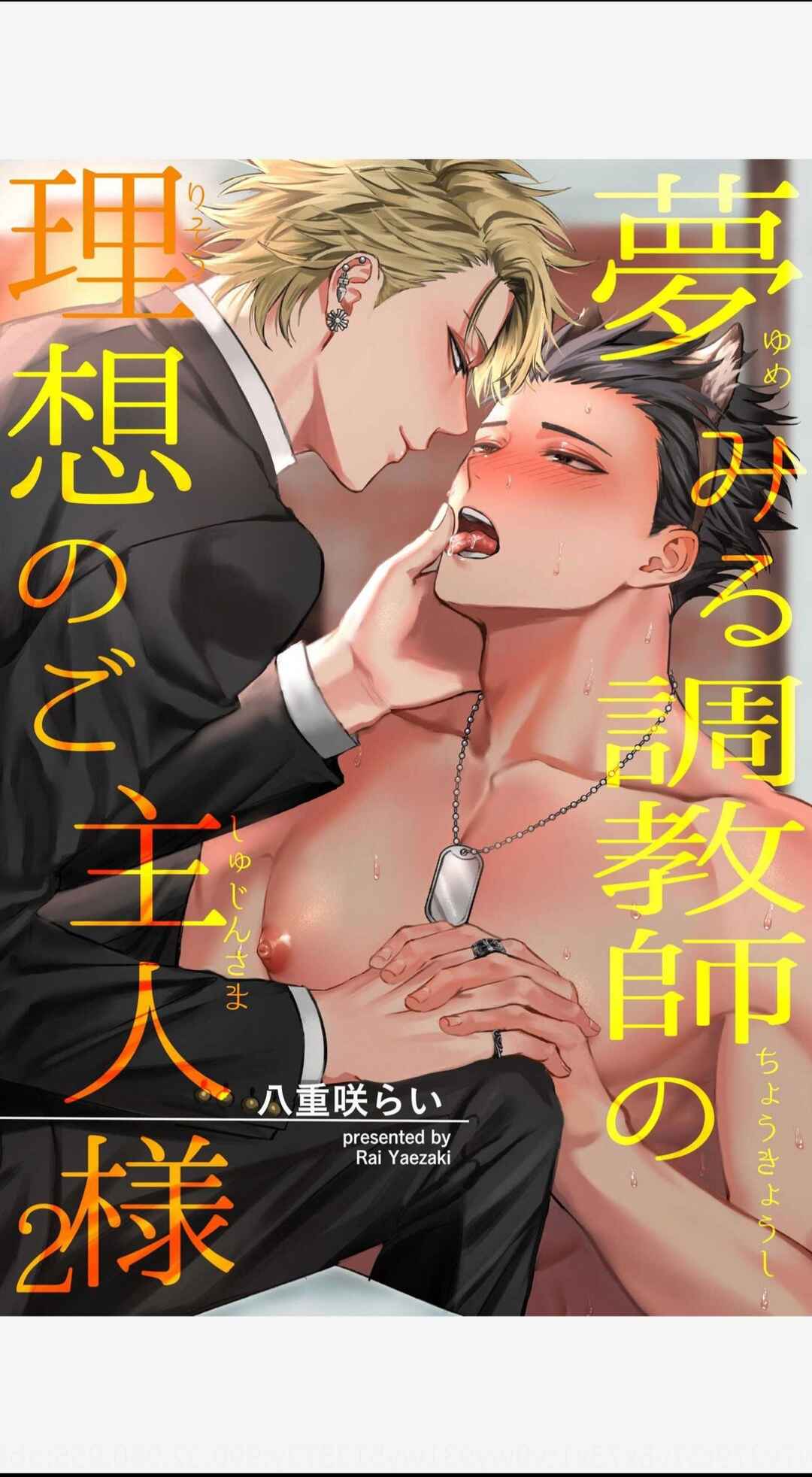 Page 4 Chapter 2 Yumemiru Choukyoushi no Risou no Goshujinsama