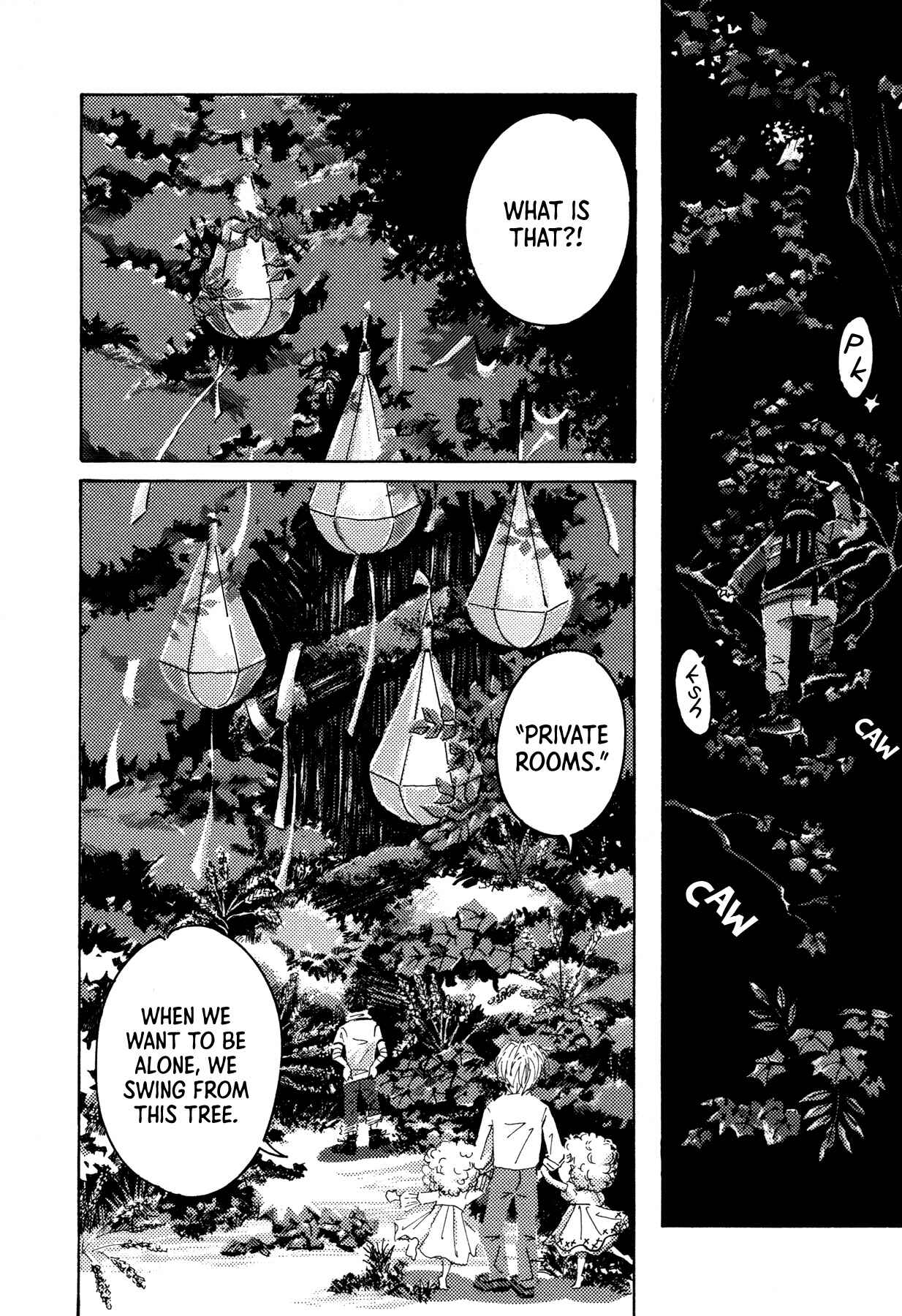 Page 8 Chapter 4 See the Forest