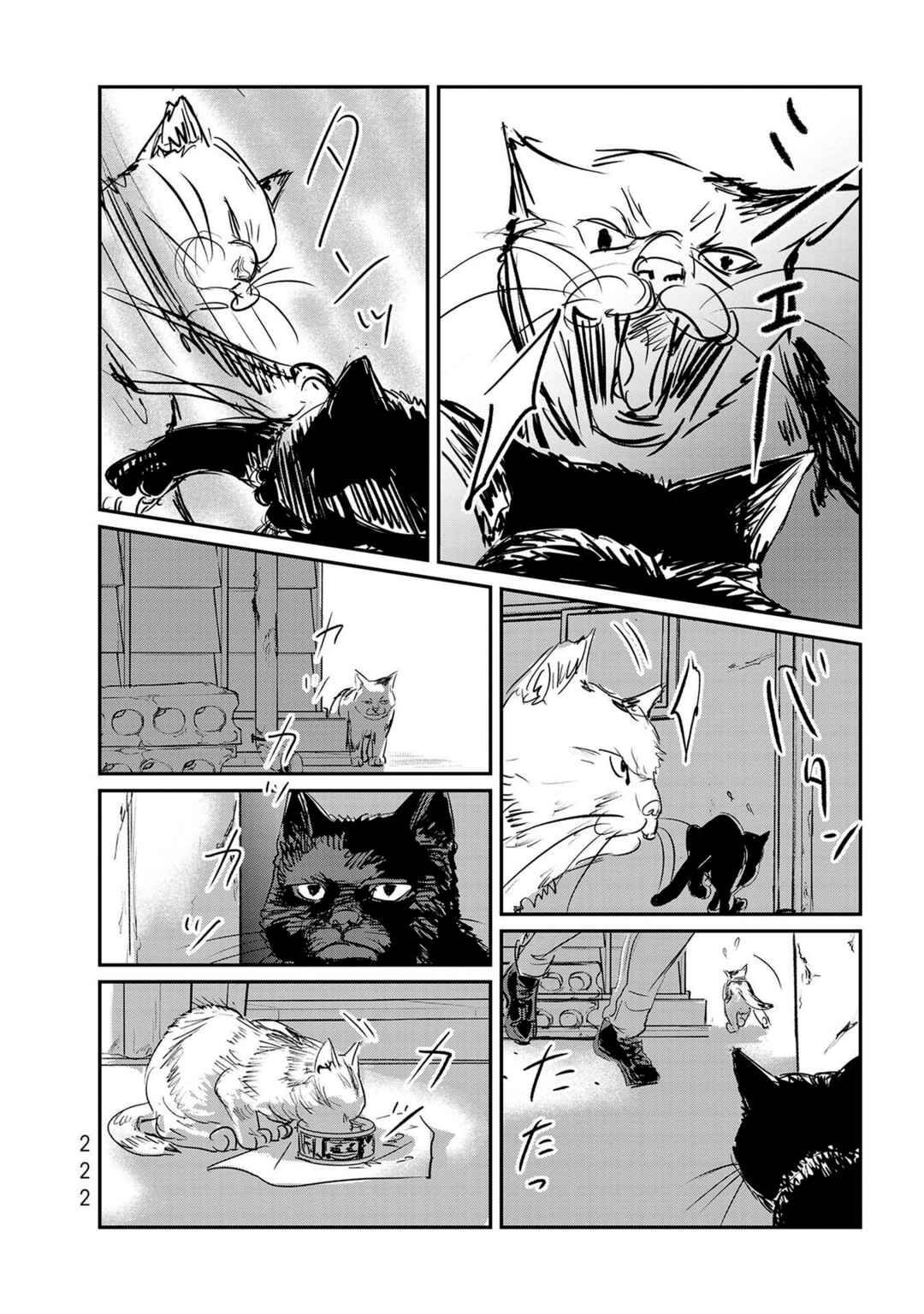 Page 4 Chapter 23.5 Fish