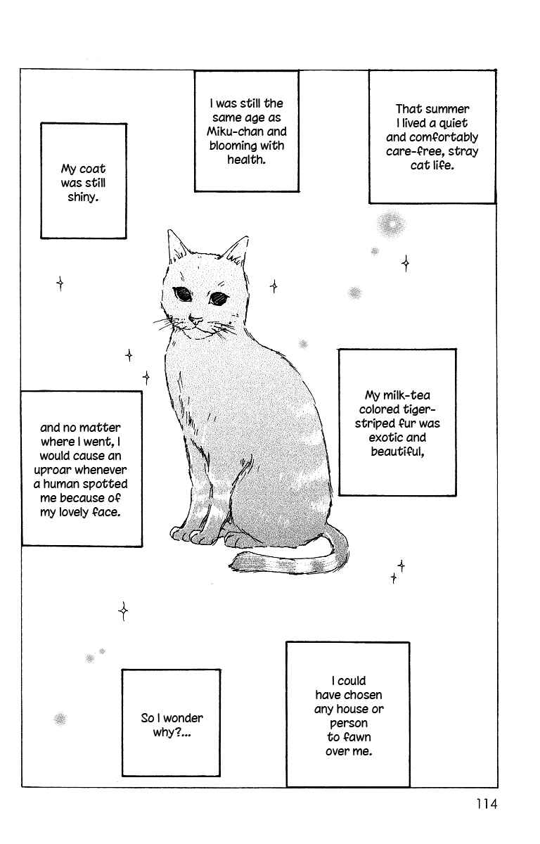 Page 11 Chapter 2 Himawari