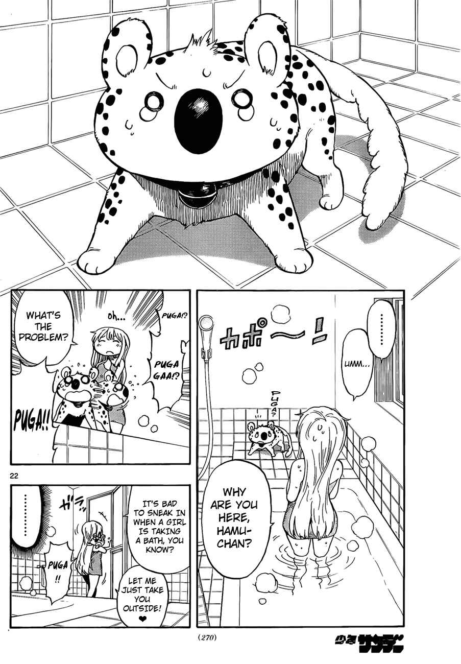 Page 22 Chapter 3 Anagle Mole