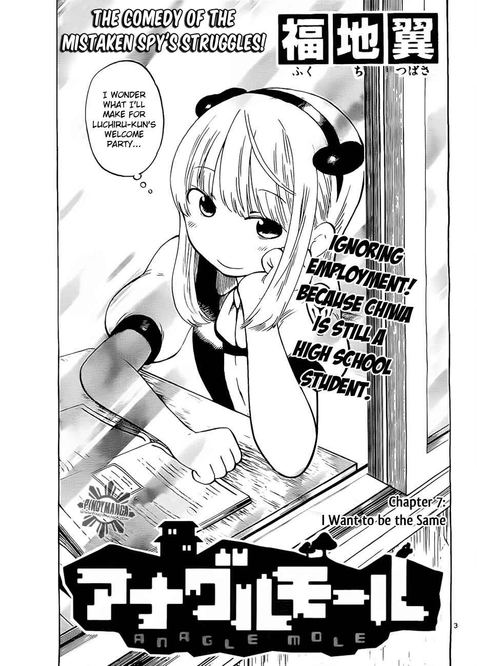 Page 3 Chapter 7 Anagle Mole