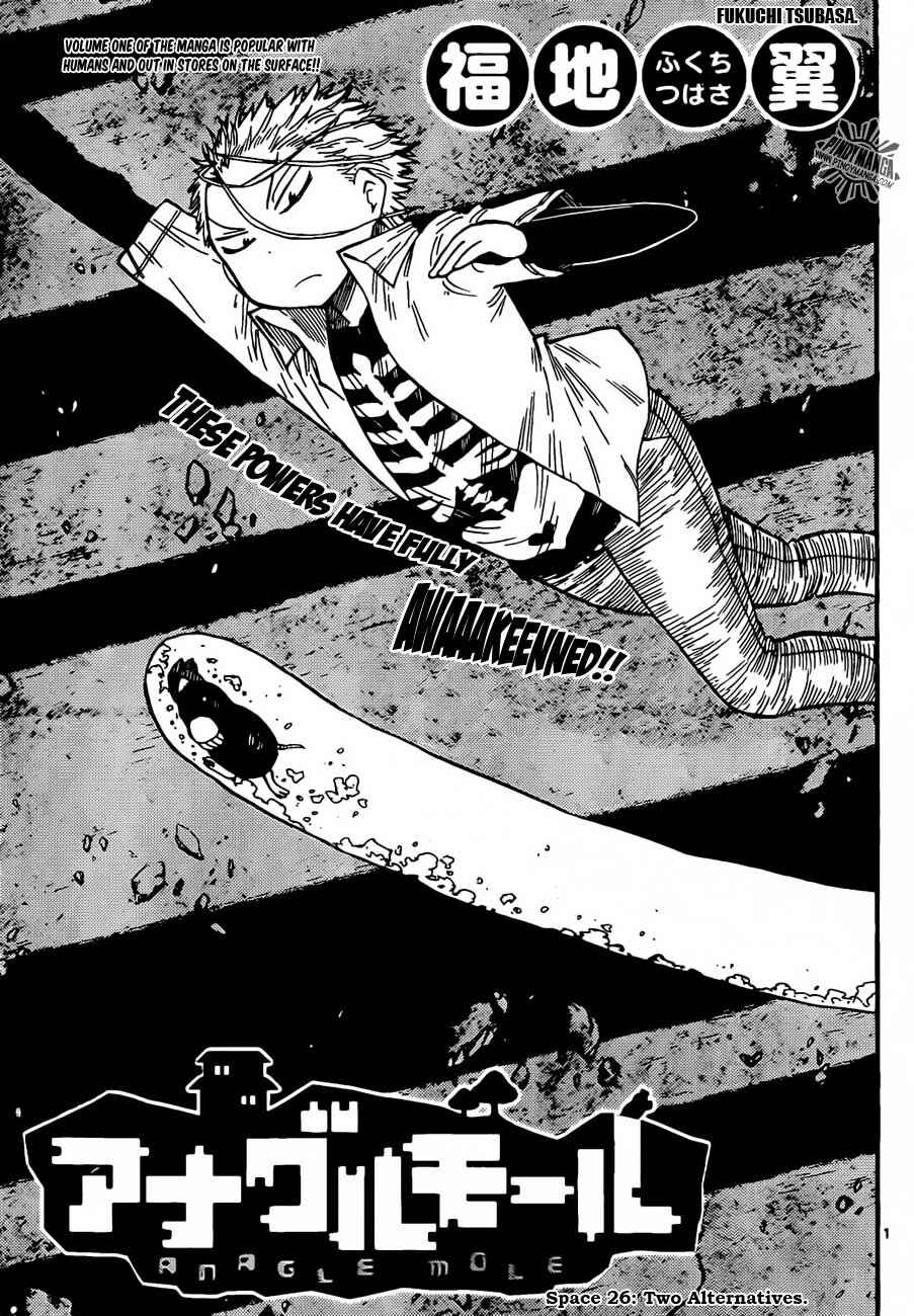 Page 1 Chapter 26 Anagle Mole