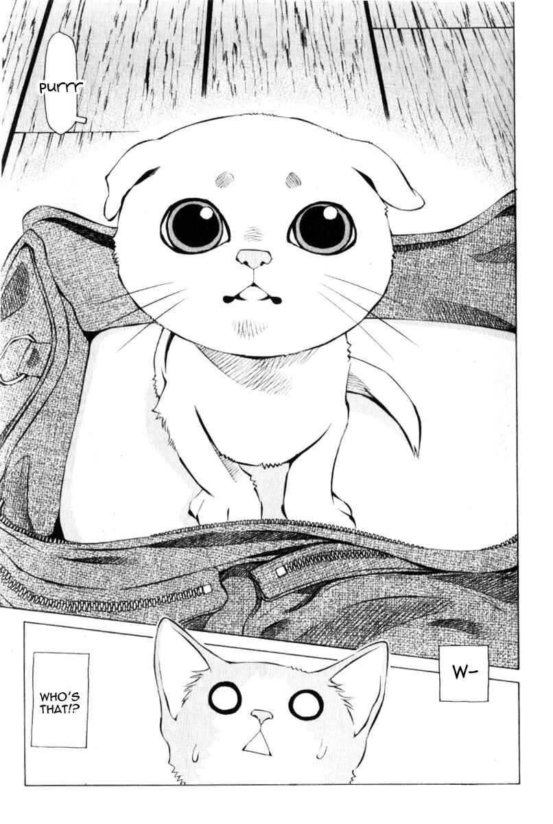 Page 3 Chapter 125 Pastel
