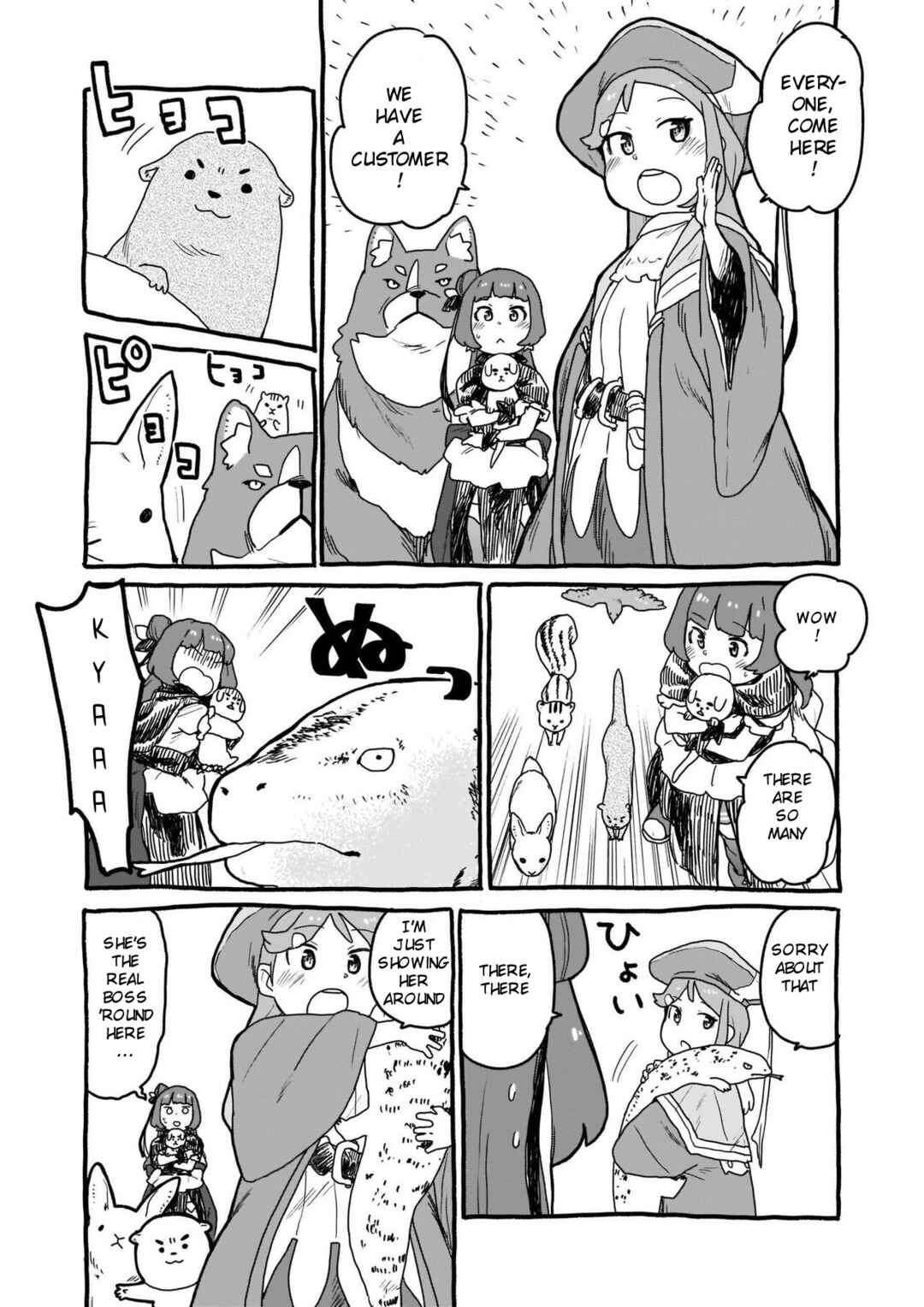 Page 5 Chapter 8 Yohane of the Parhelion - Unpolarized Reflexion