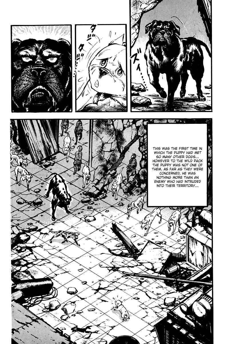 Page 35 Chapter 65 Survival (SAITO Takao)