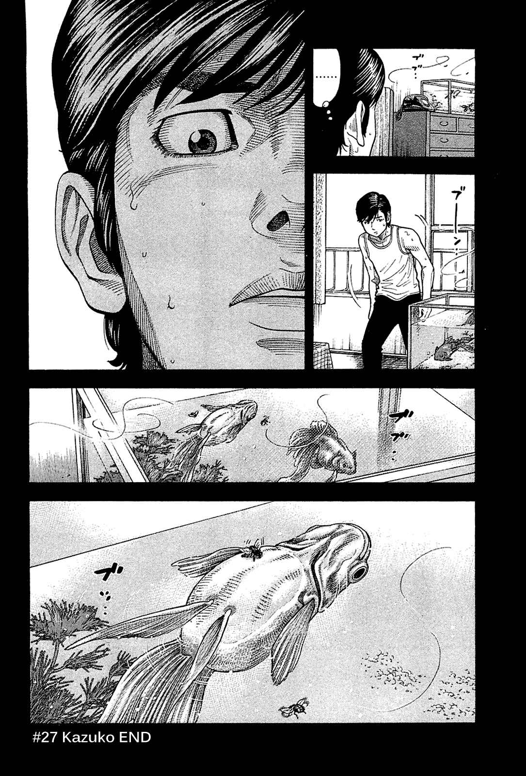 Page 18 Chapter 27 Montage