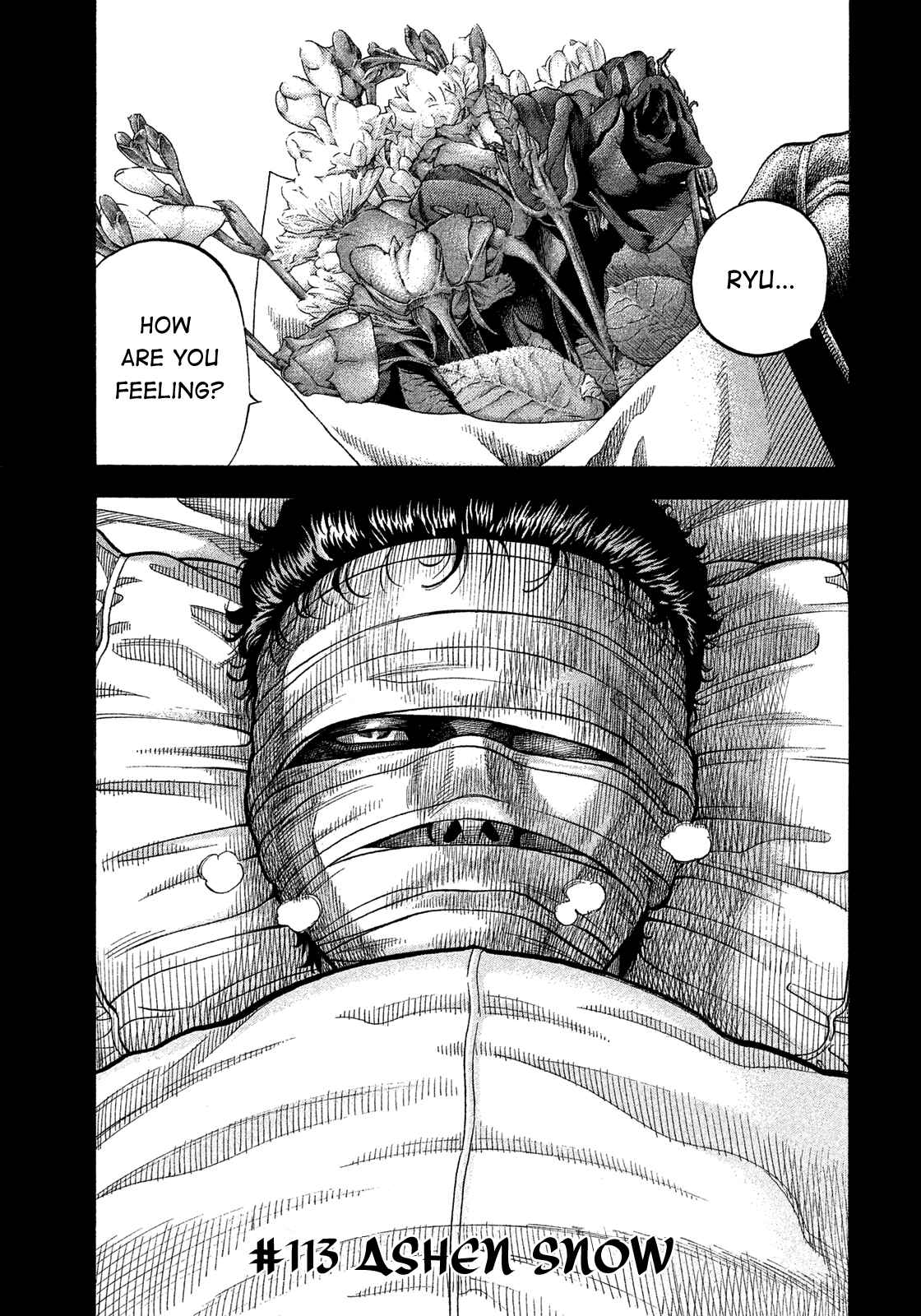Page 3 Chapter 113 Montage