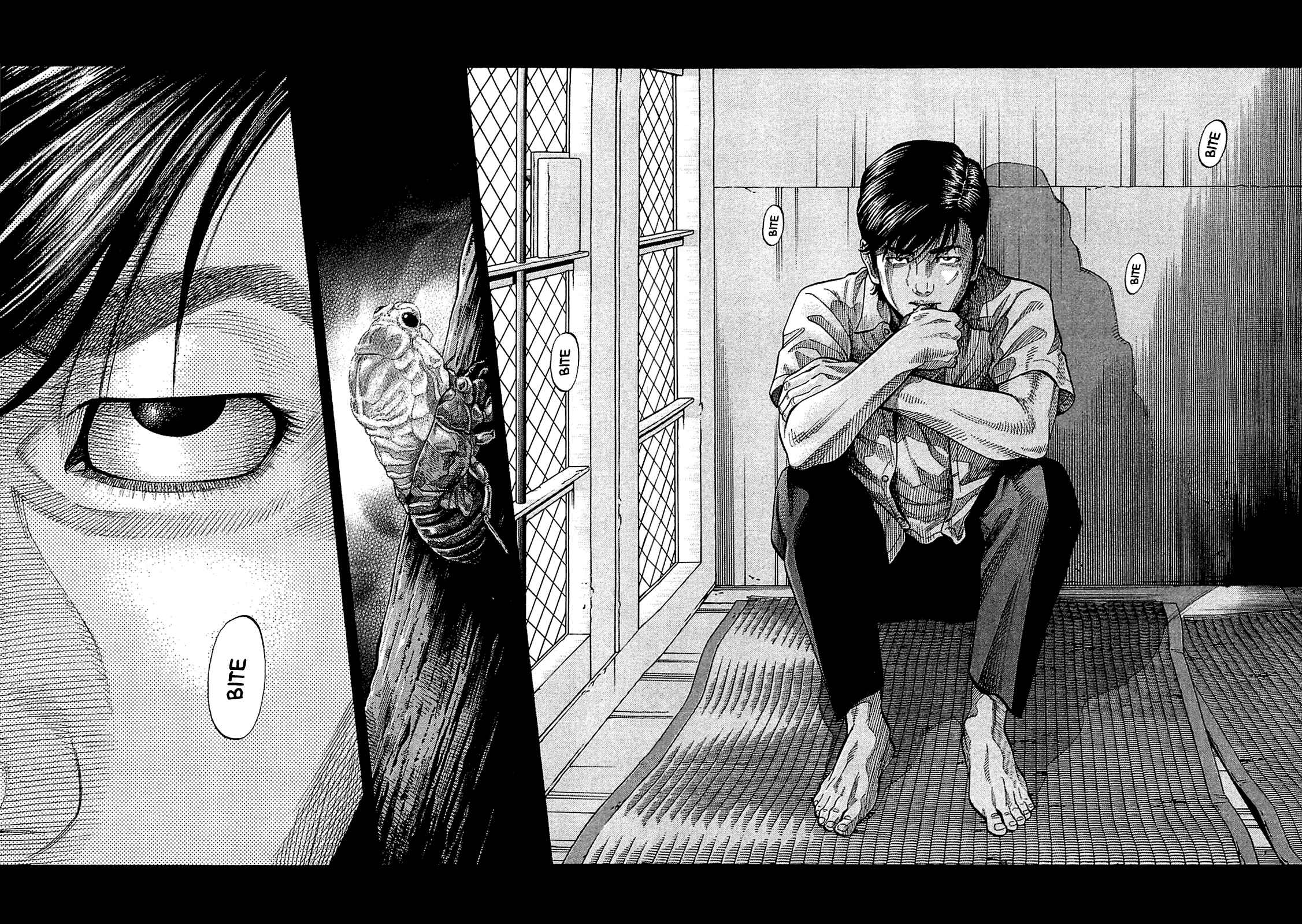 Page 8 Chapter 28 Montage