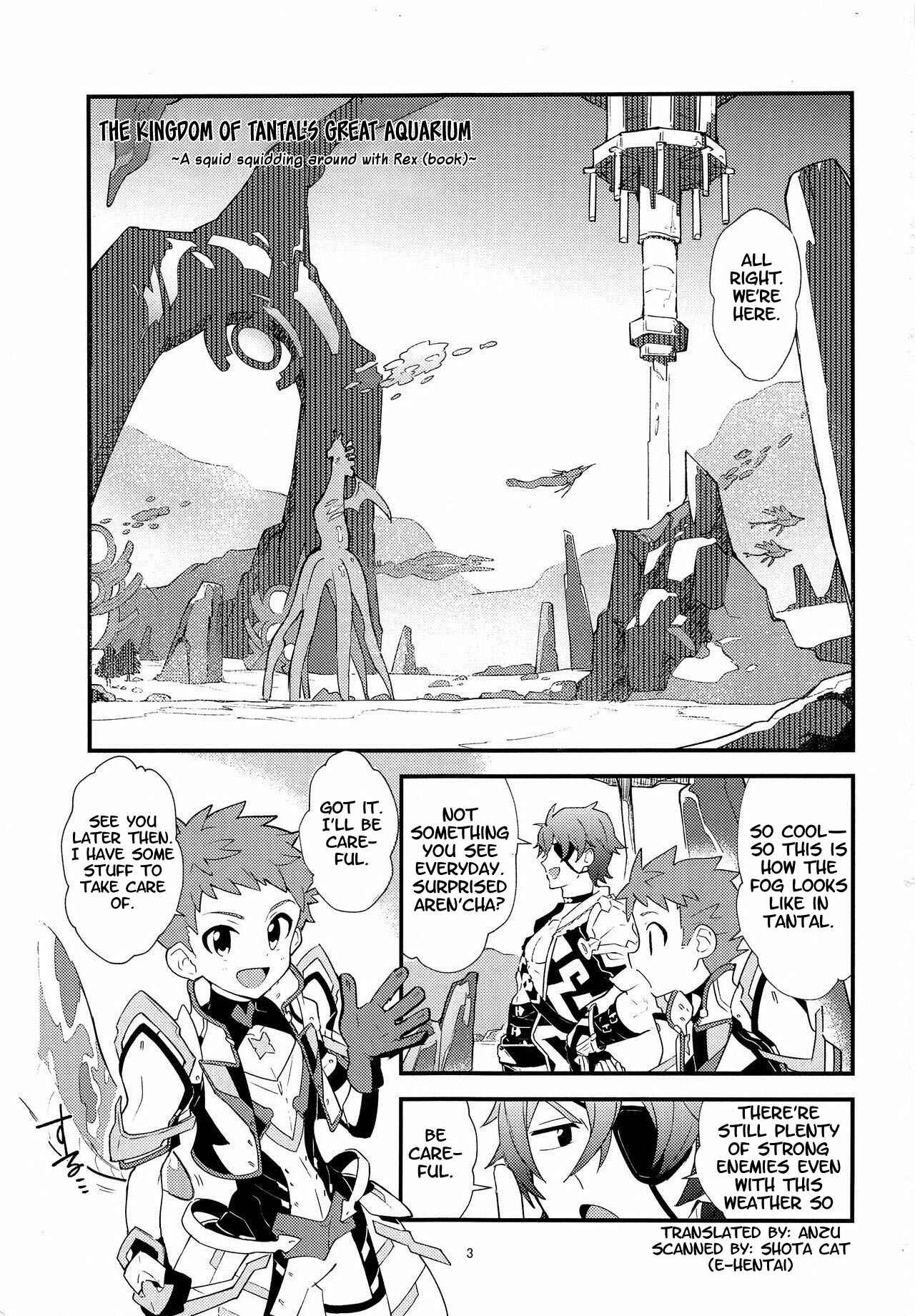Page 2 Chapter Unknown_dd9e Xenoblade Chronicles 2 - LUXURIUM (Doujinshi)