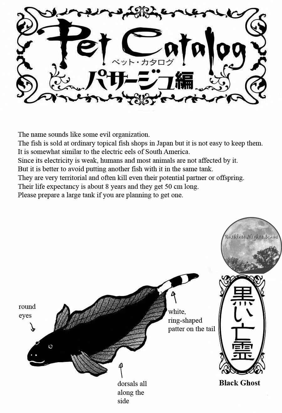 Page 44 Chapter 5.3 Petshop of Horrors: Passage