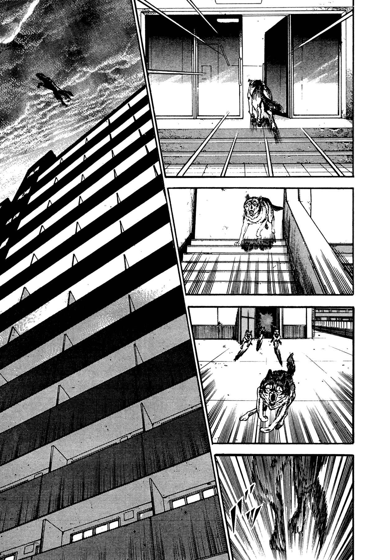 Page 31 Chapter 14 Dog Soldier