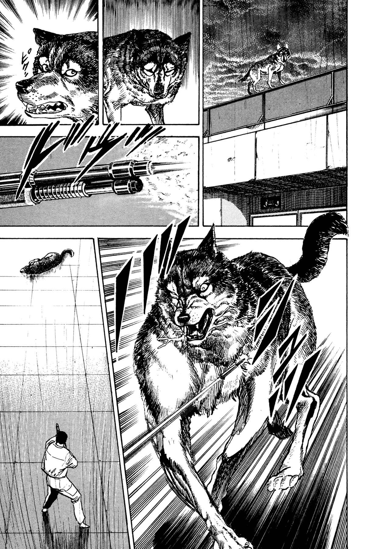 Page 33 Chapter 14 Dog Soldier
