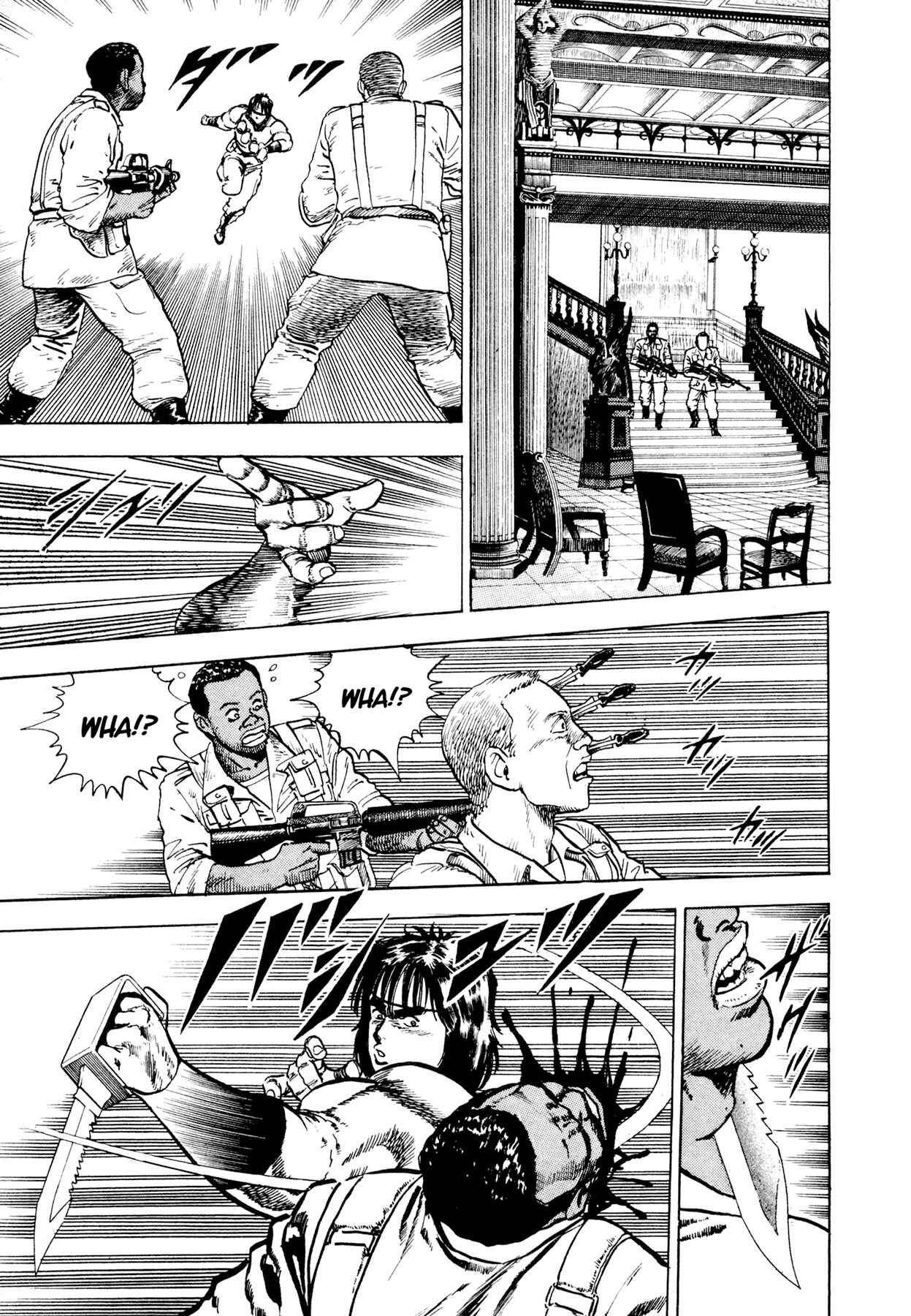 Page 25 Chapter 8 Dog Soldier