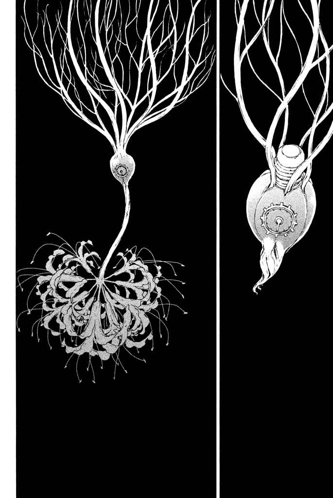 Page 33 Chapter 13 Dolls Folklore