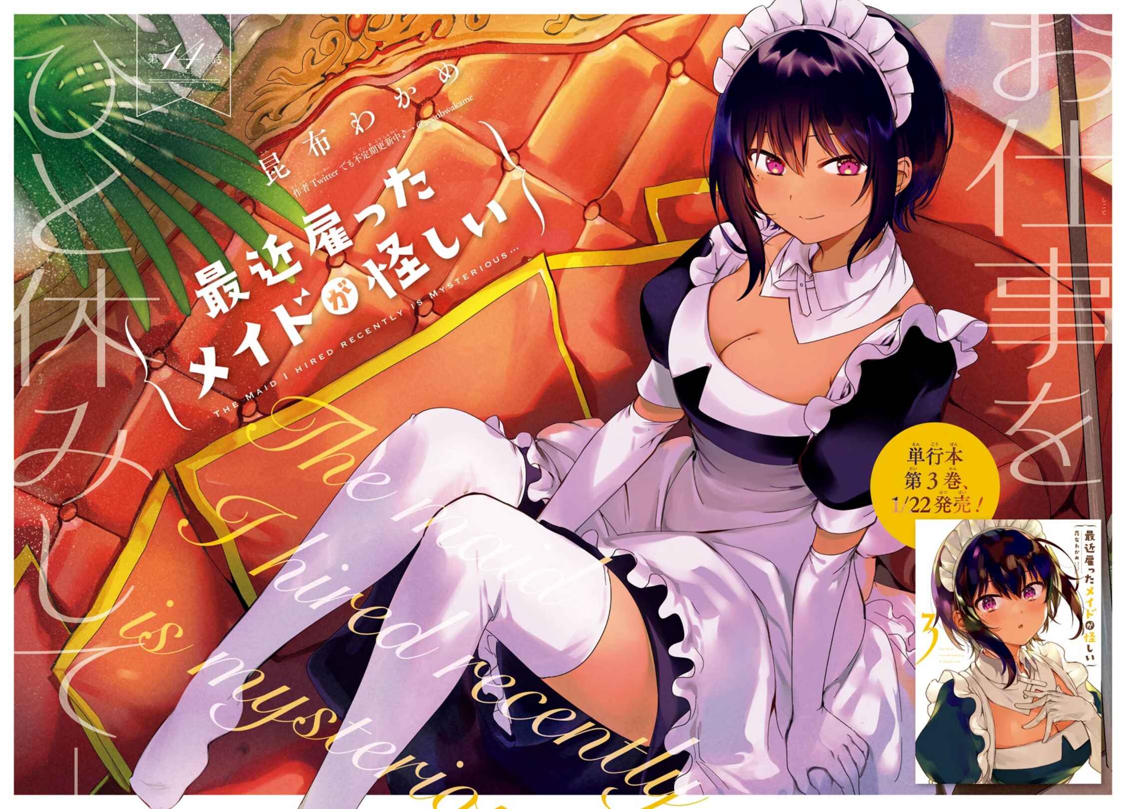 Page 3 Chapter 14 The Maid I Hired Recently Is Mysterious (Magazine)
