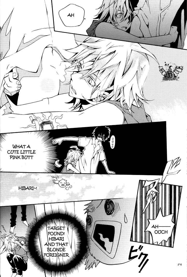 Page 25 Chapter Unknown_2028 Katekyo Hitman Reborn! - Sharon no Tori (Doujinshi)