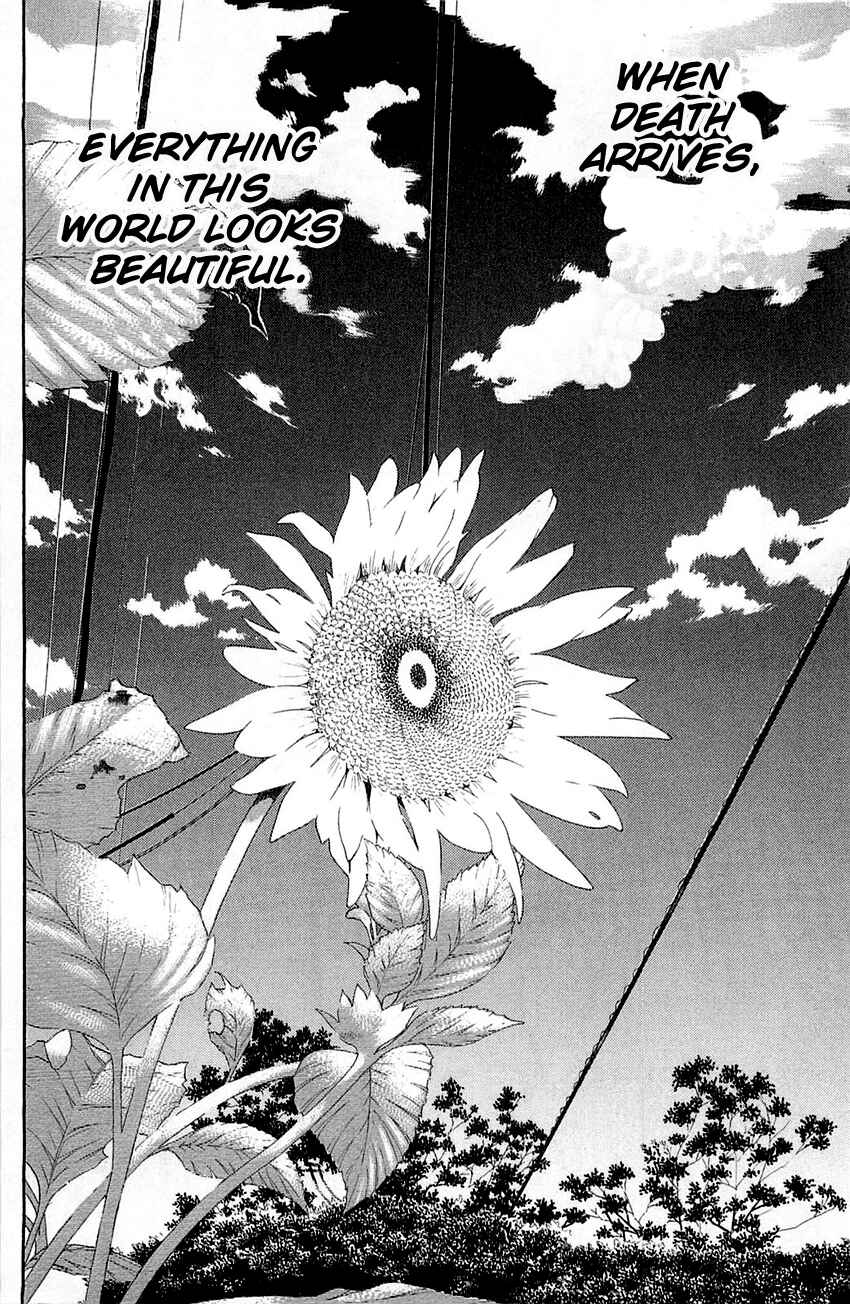 Page 31 Chapter 55 Q.E.D