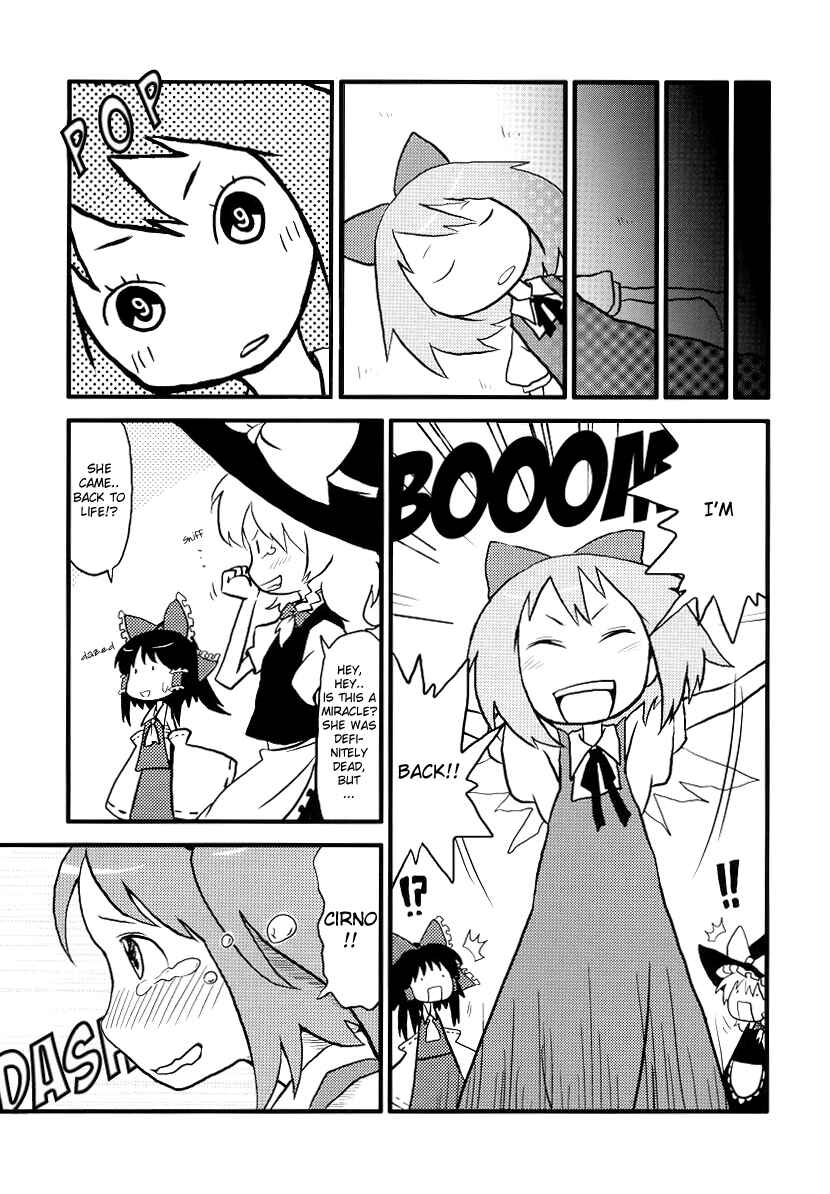 Page 10 Chapter Unknown_a261 Touhou - THE Cirno (Doujinshi)